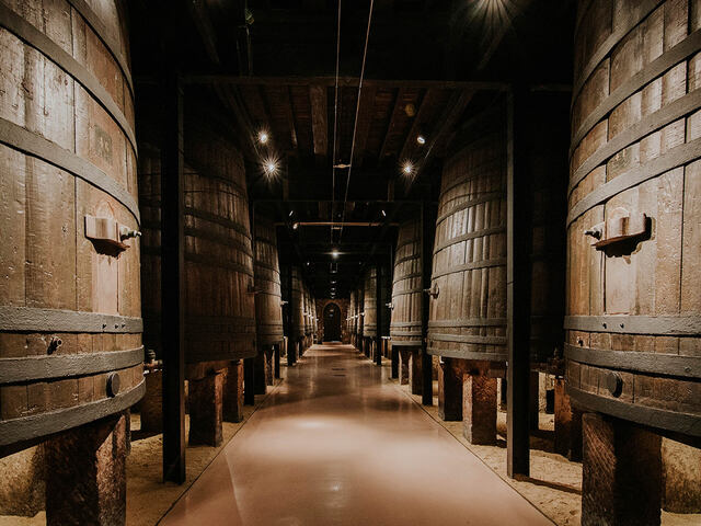 Bodegas Franco Espanholas - Logroño